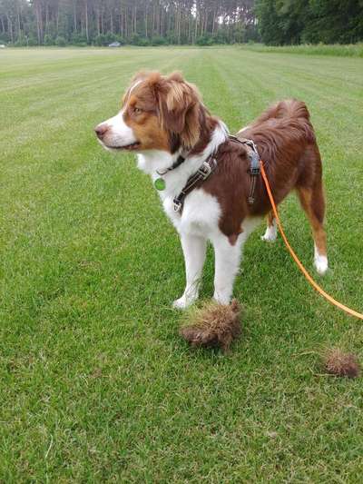 Geschirr Empfehlung-Beitrag-Bild