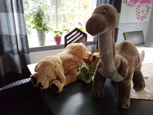 Ich hätte da mal eine Frage.....-Beitrag-Bild