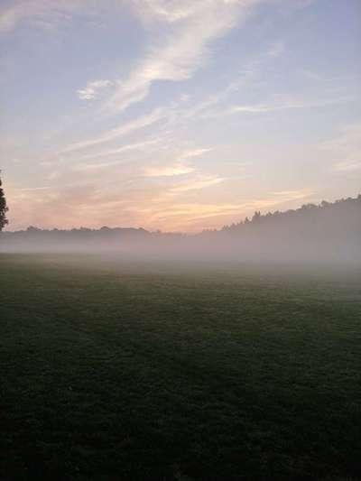 Die wunderschöne Welt mit Hund.-Beitrag-Bild