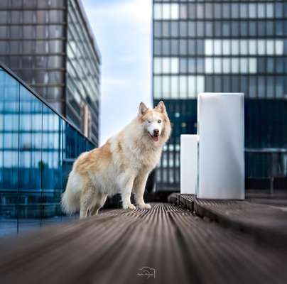 Austausch zur Fotografie-Beitrag-Bild