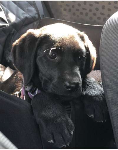 117. Fotochallenge-Beitrag-Bild