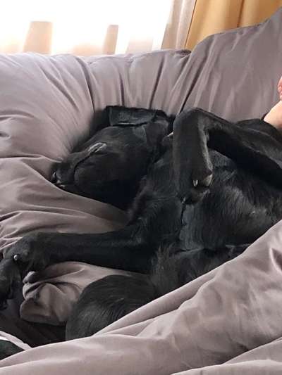 Foto Challenge Nr. 134-Beitrag-Bild