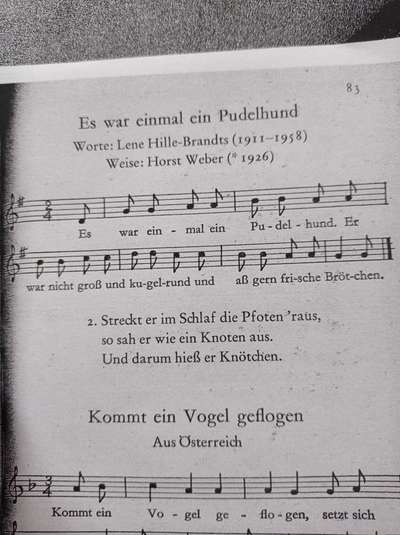 Alles rund um den Pudel-Beitrag-Bild