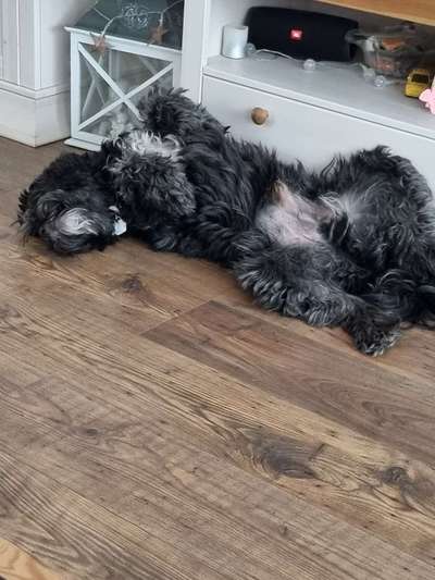 Foto Challenge - Zeigt her eure Bäuche-Beitrag-Bild