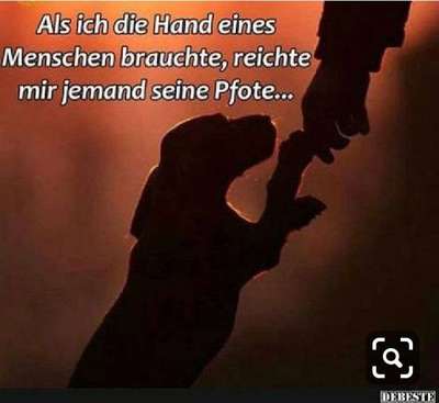 Hunde sprüche-Beitrag-Bild