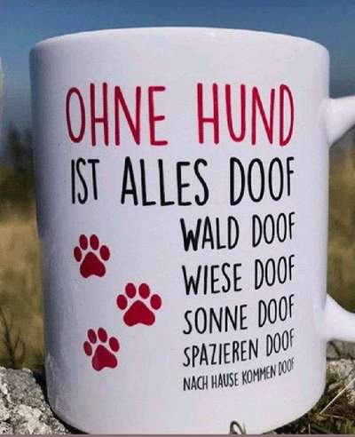 Hunde sprüche-Beitrag-Bild