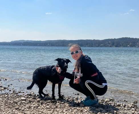 Hundetreffen-Starnberger Hunde Treff-Bild