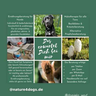 %{de_profession_title}-Ernährungsberaterin für Hunde inkl. Barf-Bild