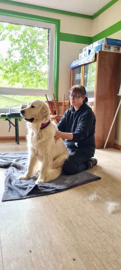 Fotochallenge 108: Starkes Team-Beitrag-Bild