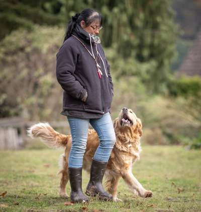 Fotochallenge 108: Starkes Team-Beitrag-Bild