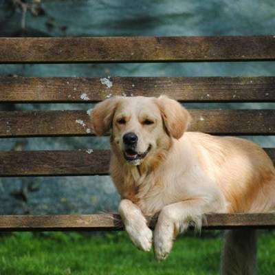 Lieblingsbild-Beitrag-Bild