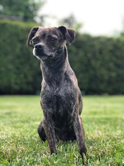 Doppelgänger gesucht !-Beitrag-Bild