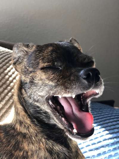 Fotochallenge Nr.122-Beitrag-Bild