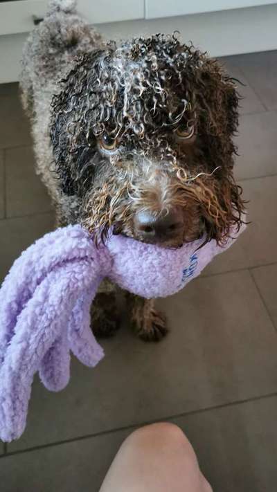 Handy-Foto Challange Nr. 10-Beitrag-Bild