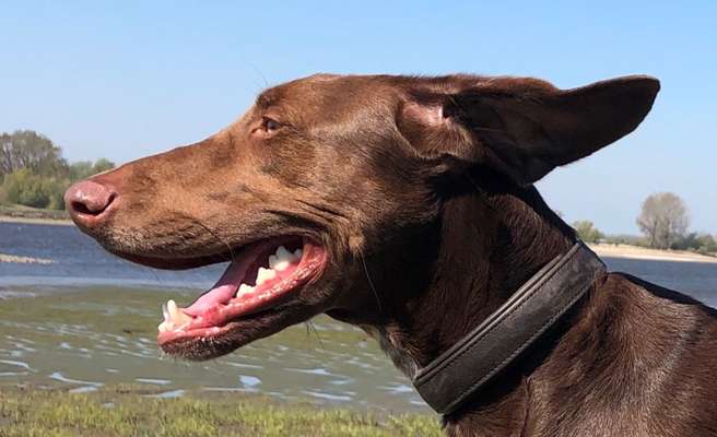 Fotochallenge Nr 50 Vom Winde verweht-Beitrag-Bild