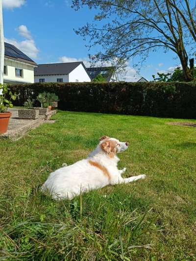 Chronische Niereninsuffizienz - wann geht es zu Ende?-Beitrag-Bild