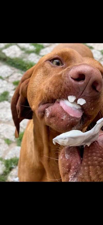 Hier ist der Spaßthread. Zum Schmunzeln und Kaputtlachen-Beitrag-Bild