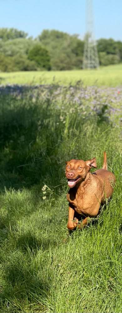 Hier ist der Spaßthread. Zum Schmunzeln und Kaputtlachen-Beitrag-Bild