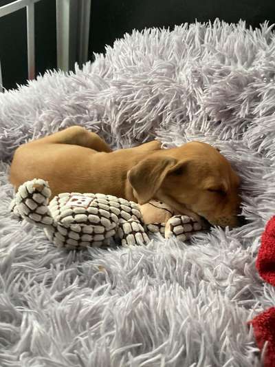 Das erste Foto-Beitrag-Bild