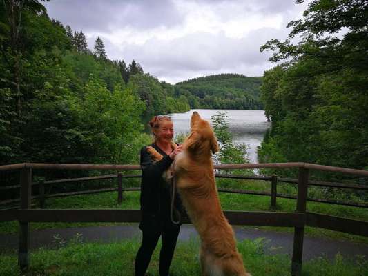 Die Dogorama Wochen Challenge: “Dein Hund im Urlaub”-Beitrag-Bild