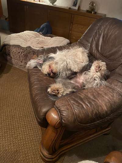 Foto Challenge Nr. 134-Beitrag-Bild