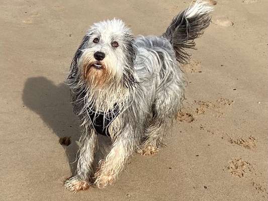 Fotochallenge 37- Sommerfeeling-Beitrag-Bild