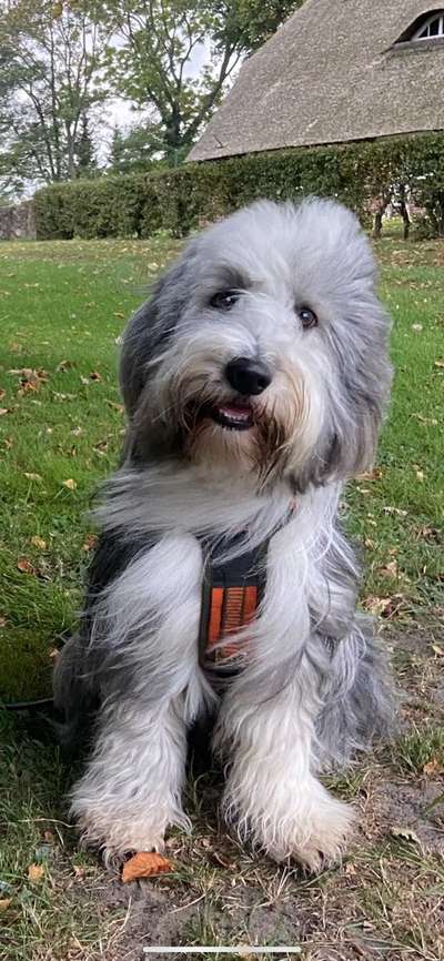 Lieblingsbild-Beitrag-Bild