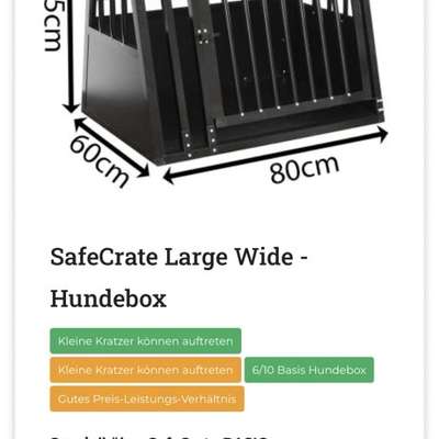 Hundebox-Beitrag-Bild