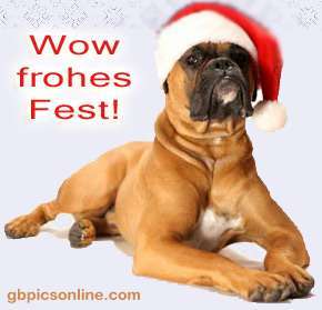 Schattenseiten der Hundehaltung-Beitrag-Bild