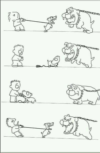 Hunde Memes-Beitrag-Bild