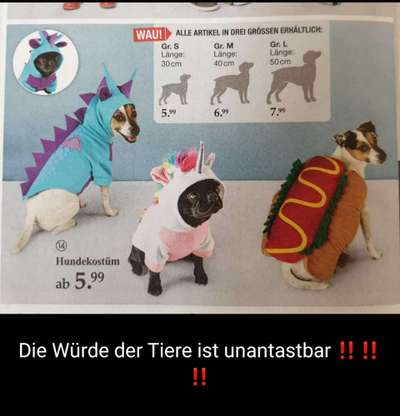 Die Würde des Tieres ist unantastbar-Beitrag-Bild