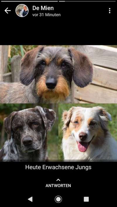 Vorher.... Nachher-Beitrag-Bild