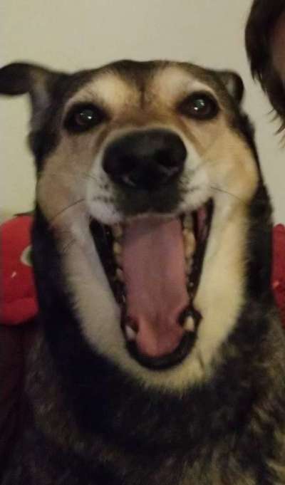 Her mit dem Grimassen-Beitrag-Bild