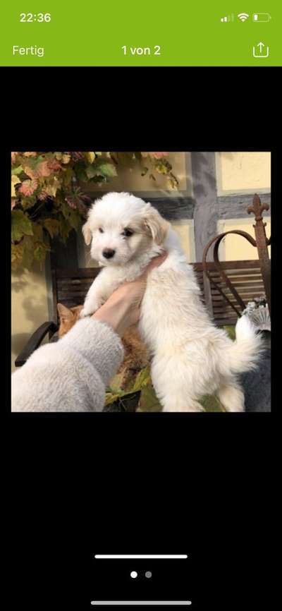 28. Handy-Fotochallenge - Damals und heute-Beitrag-Bild