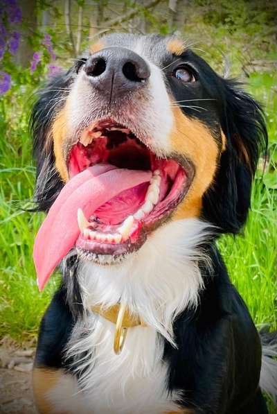 Fotochallange 84-Beitrag-Bild