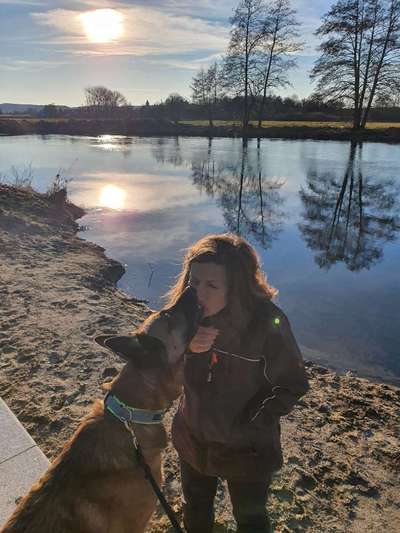 Hunde sind die beste Medizin-Beitrag-Bild