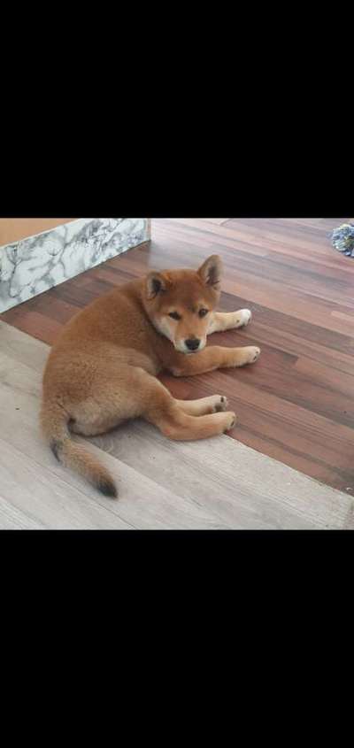 Erstes Bild-Beitrag-Bild