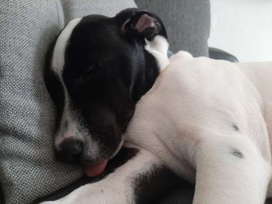 LUSTIGE FOTOS! WER KANN MITHALTEN?-Beitrag-Bild