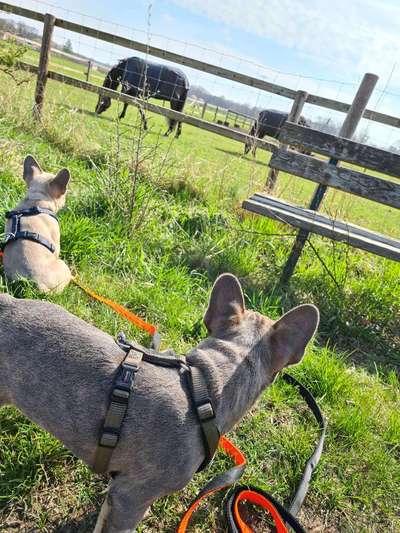 Fotowettbewerb Natur-Beitrag-Bild