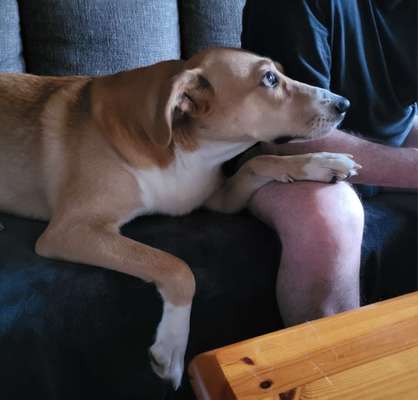 147. Foto Challenge: Bettelblick-Beitrag-Bild