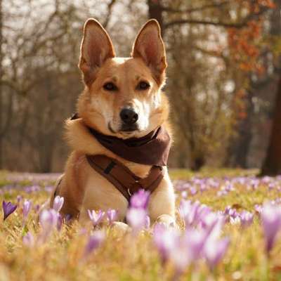 Austausch zur Fotografie-Beitrag-Bild