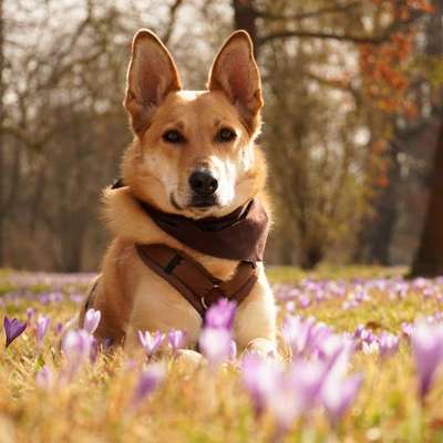 Austausch zur Fotografie-Beitrag-Bild