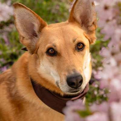 Austausch zur Fotografie-Beitrag-Bild