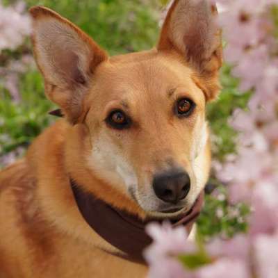 Austausch zur Fotografie-Beitrag-Bild