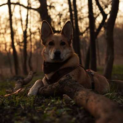 Austausch zur Fotografie-Beitrag-Bild