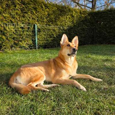 Austausch zur Fotografie-Beitrag-Bild