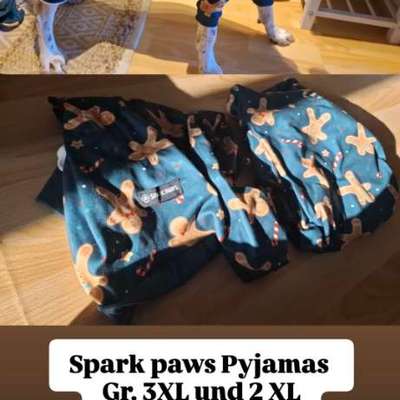 Verschiedene Hundesachen-Beitrag-Bild