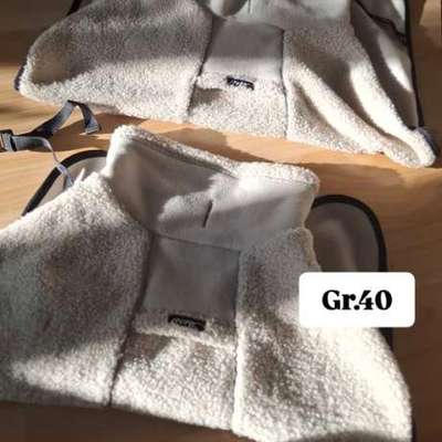 Verschiedene Hundesachen-Beitrag-Bild