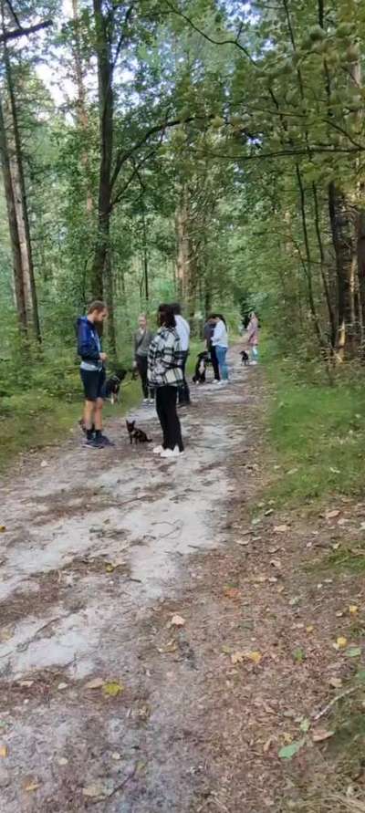 Hundetreffen-Social Walk & Wanderungen 🐾-Bild