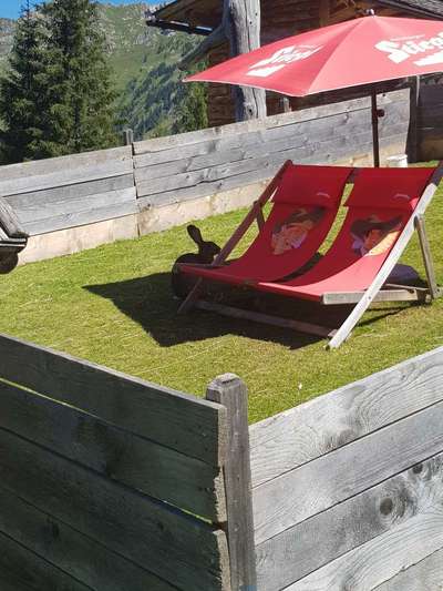 Windhunde - Treffen der besonderen Schönheiten
HERZLICH WILLKOMMEN-Beitrag-Bild